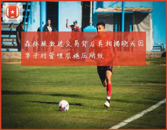 森林狼激进交易背后真相揭晓或因华子对管理层施压所致