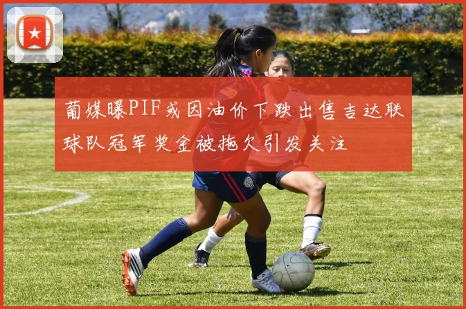 葡媒曝PIF或因油价下跌出售吉达联球队冠军奖金被拖欠引发关注